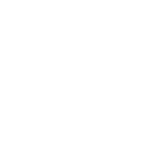 nwsi logo stacked